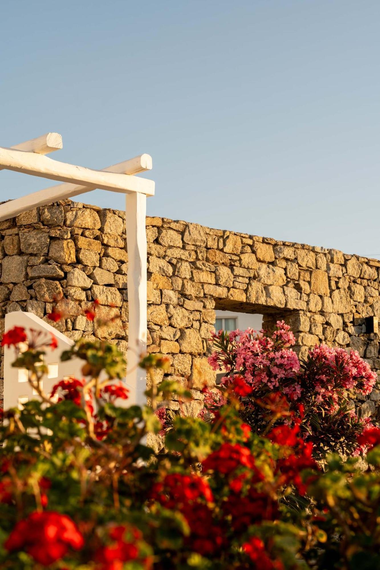 Philosophy Of Mykonos Boutique Hotel Mykonos Town Esterno foto