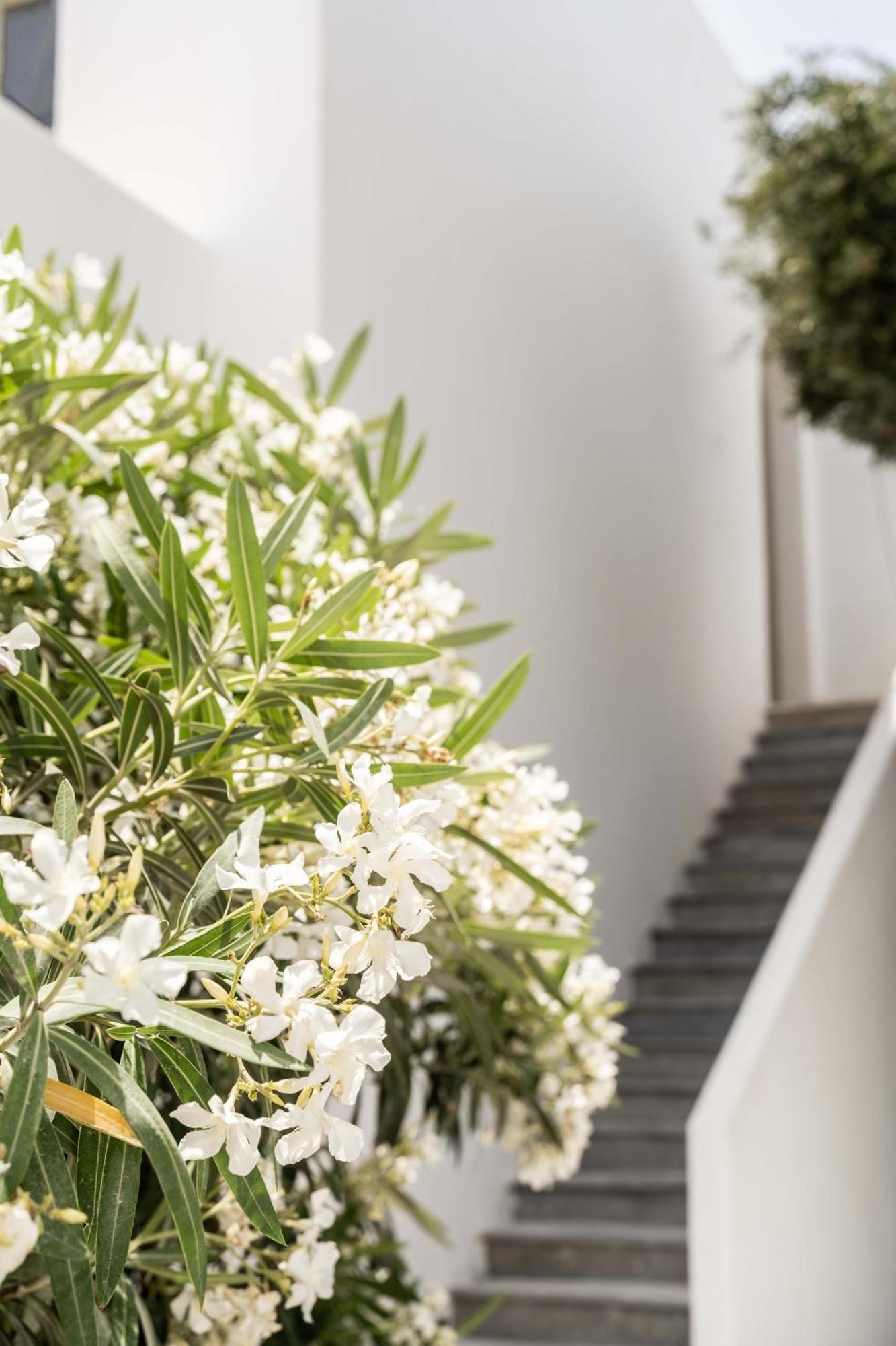 Philosophy Of Mykonos Boutique Hotel Mykonos Town Esterno foto