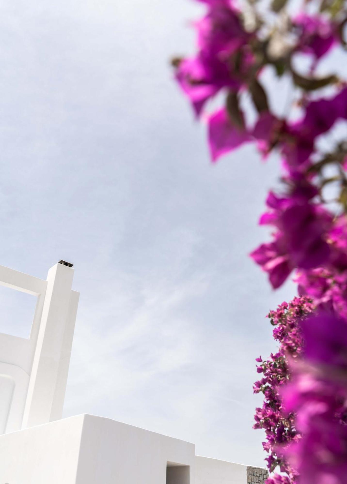 Philosophy Of Mykonos Boutique Hotel Mykonos Town Esterno foto